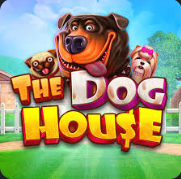 The Dog House